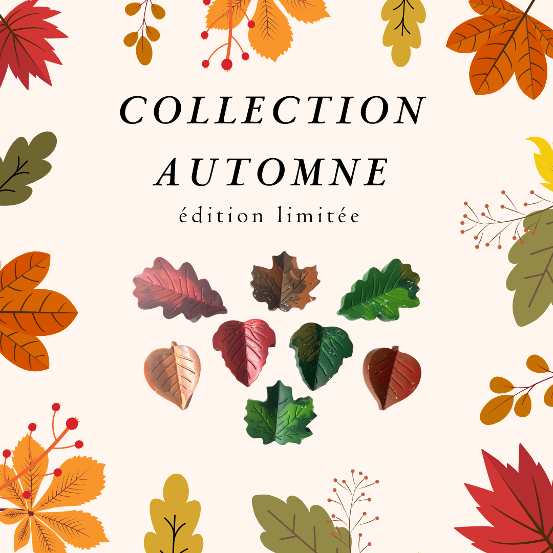 Ensemble Thématique - AUTOMNE / AUTUMN - Themed Pack