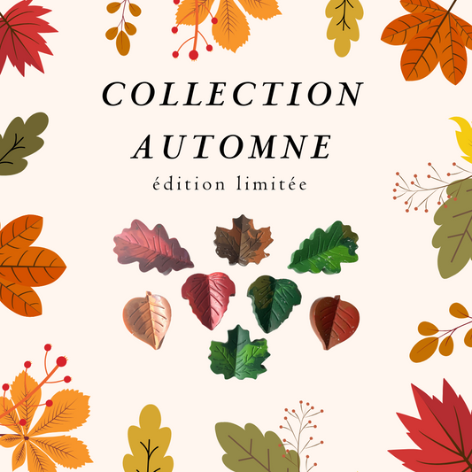 Ensemble Thématique - AUTOMNE / AUTUMN - Themed Pack